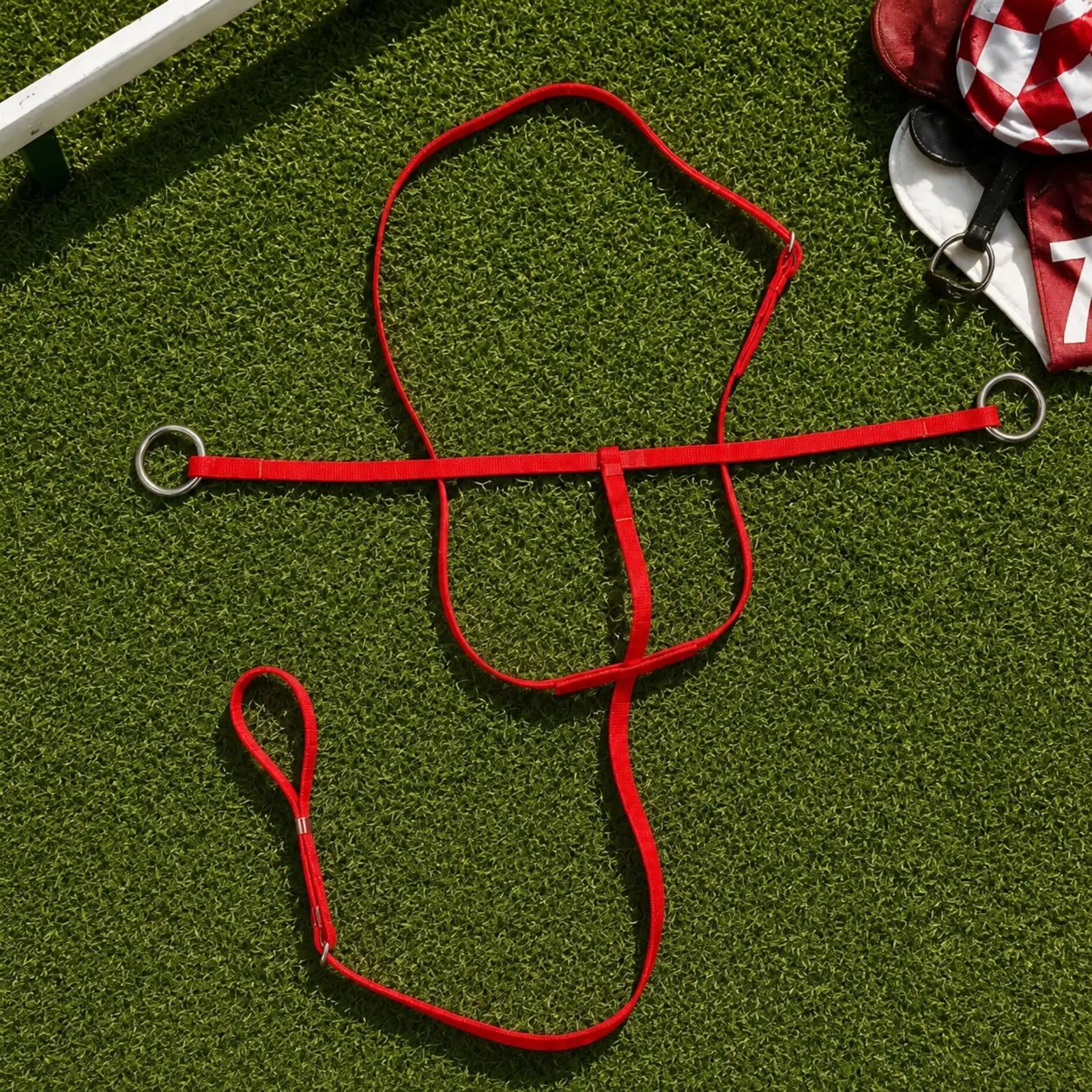 Adjustable Horse Training Reins with Metal Rings for Riding Practice Equestrian Accessories