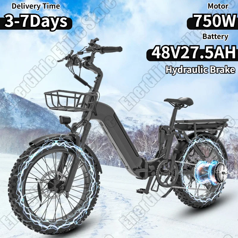 Electric Bicycle 750W Powerful Motor 48V27.5AH Dual Battery Aluminum alloy Electric Bike 20*4.0 In Fat Tire Snow Folding E-bike