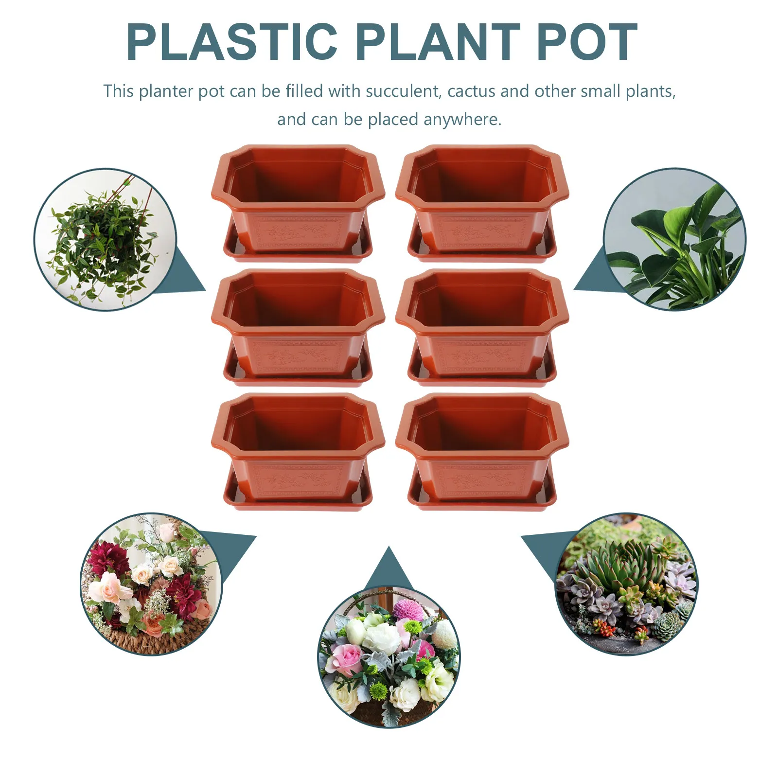 6Sets Plastic Succulents Planter Pots with Drainage Saucer for Cactus Bonsai Herbs Vegetables Indoor Living Space Floor Balcony