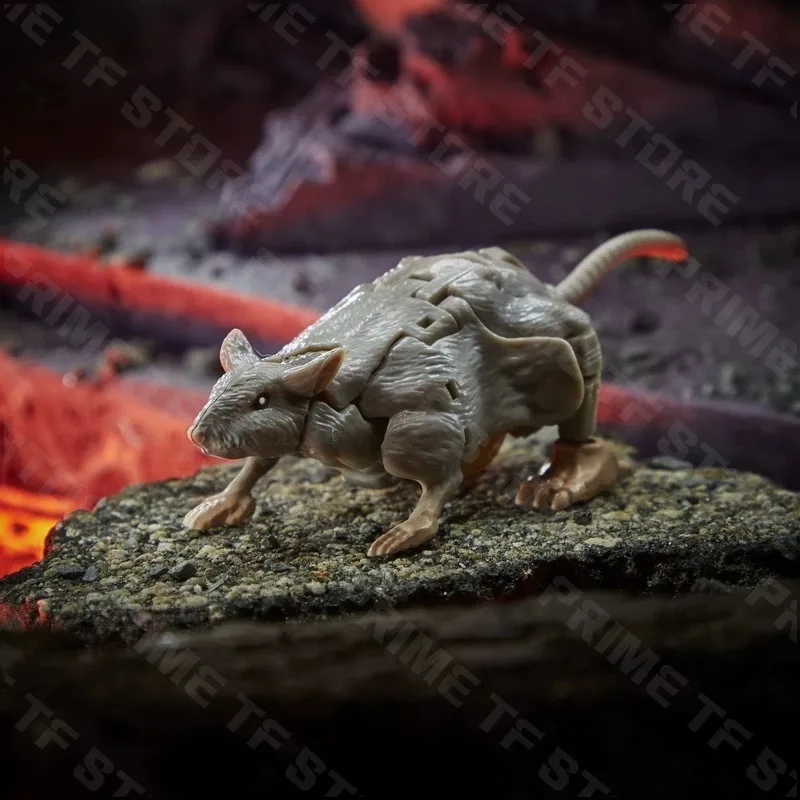 Original Hasbro Transformers Toy War for Cybertron Kingdom WFC-K2 Rattrap Core-class Anime Figure Action Model Gift