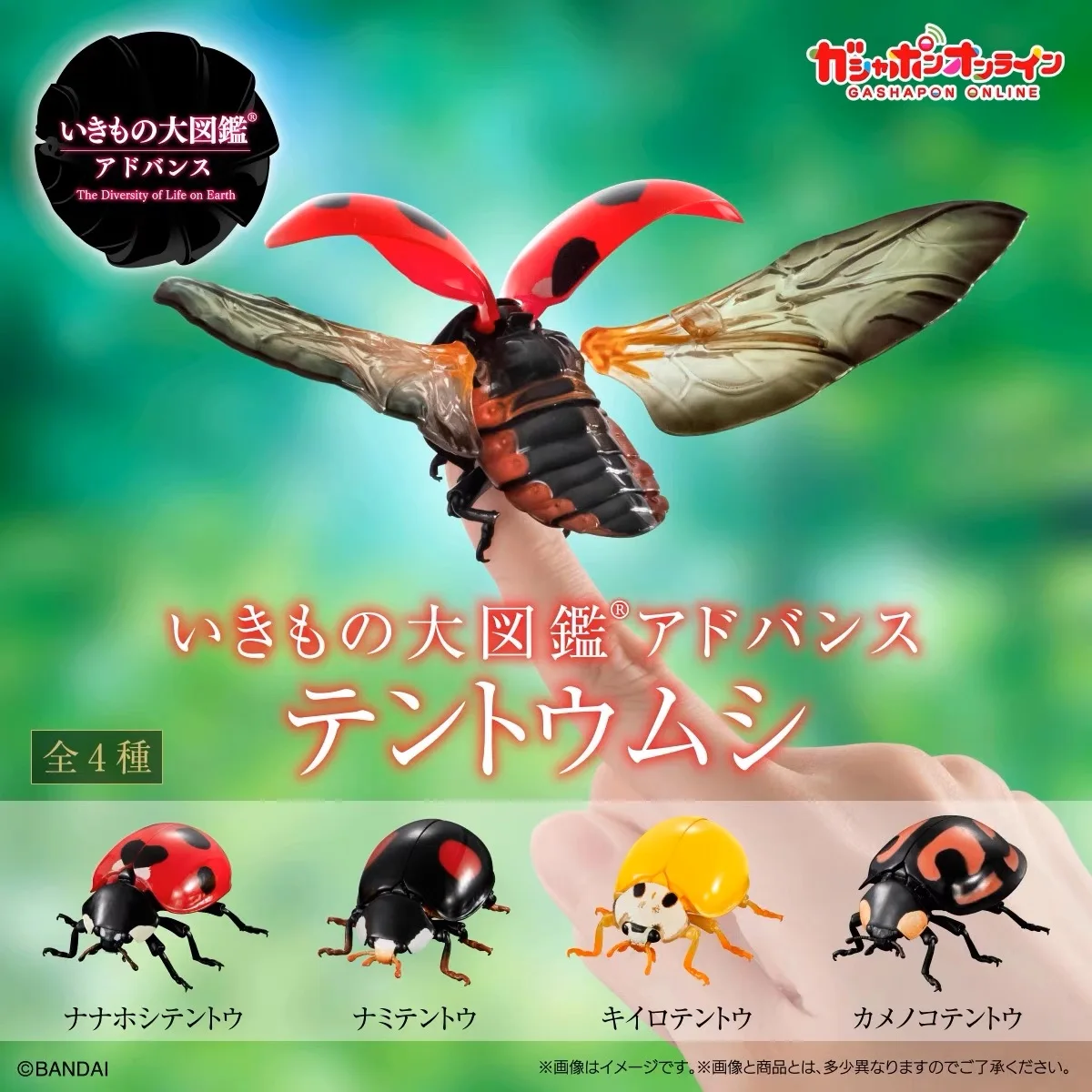 

Emulation Insect Ladybug Model Gashaopn Capsule Toy Coccinella Septempunctata Assembled Figure Collection