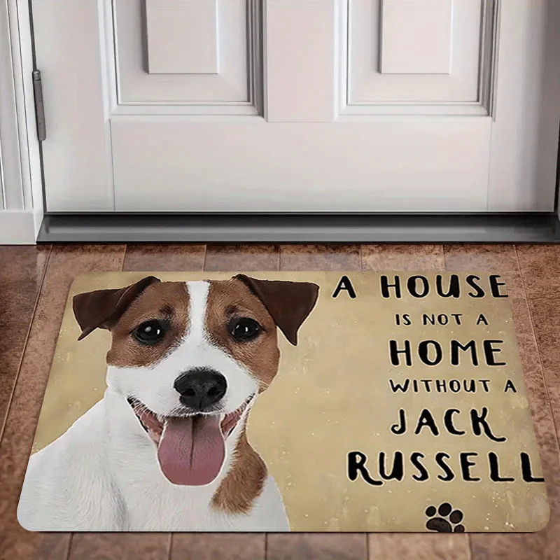 Jack Russell Terrier 