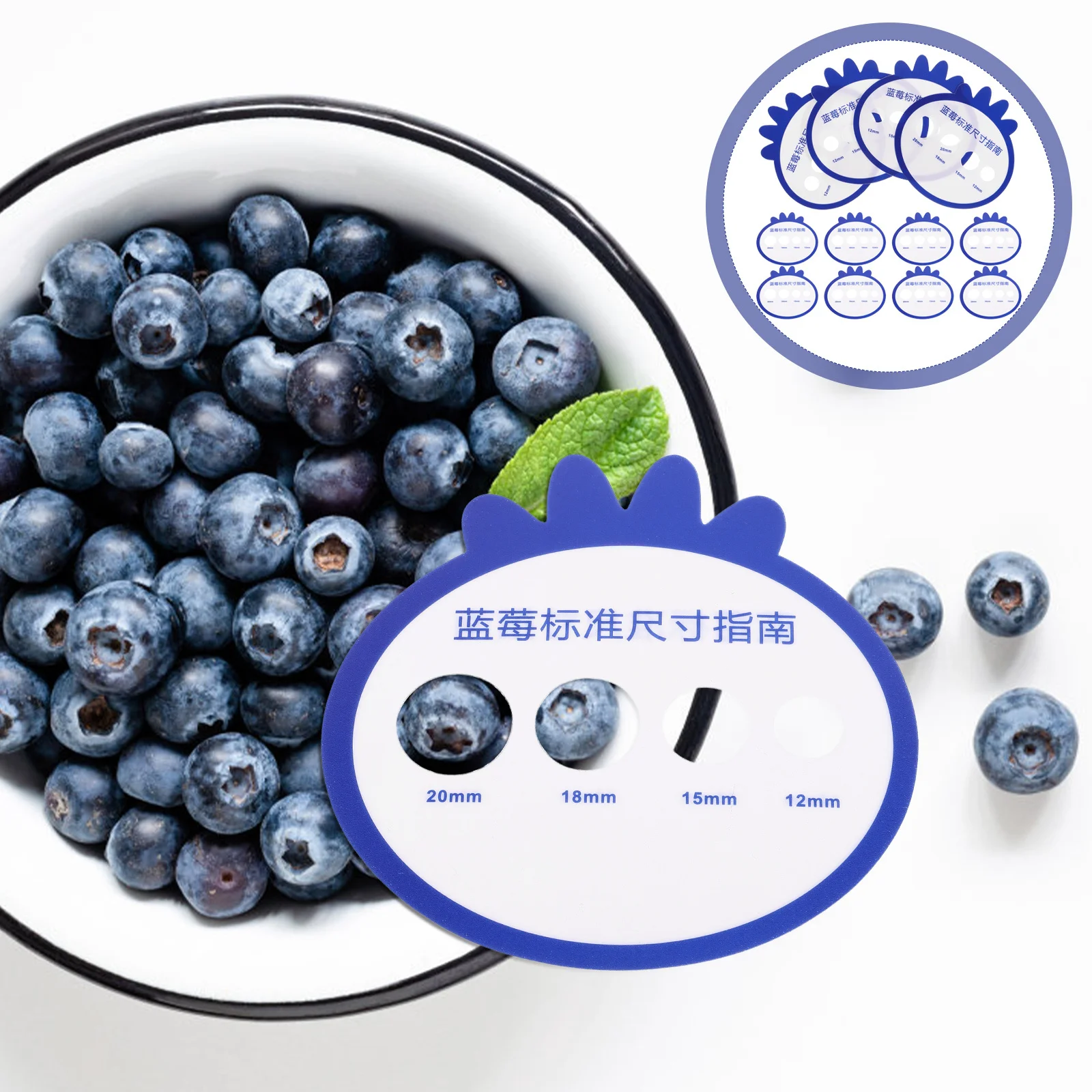 

12 Pcs Blueberry Measuring Tool Diameter Circle Tangerine Grading Fruit Card Pp Measurement Accuracy Farm