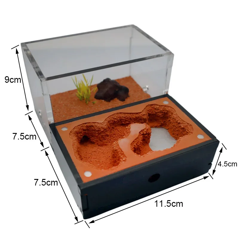 Yellow Soil Ant Farm with External Water Tower and Garbage Area Queen Breeding Area Ant Nest Anthill Castle Ant House Insect Box