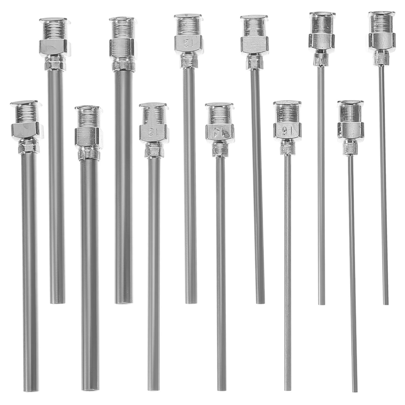 

12 Pcs Plate Dispensing Precision Head Syringe Stainless Steel Needle Silver Injector