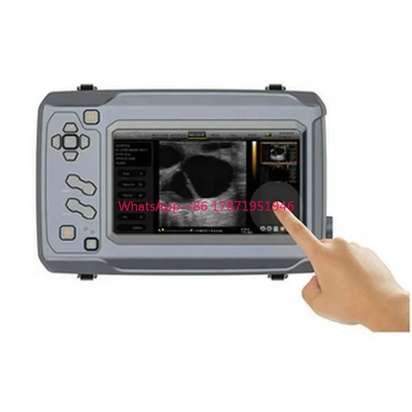 USG bmv s6 ultrasound veterinary bmv ultrasound ecografo bmv s6