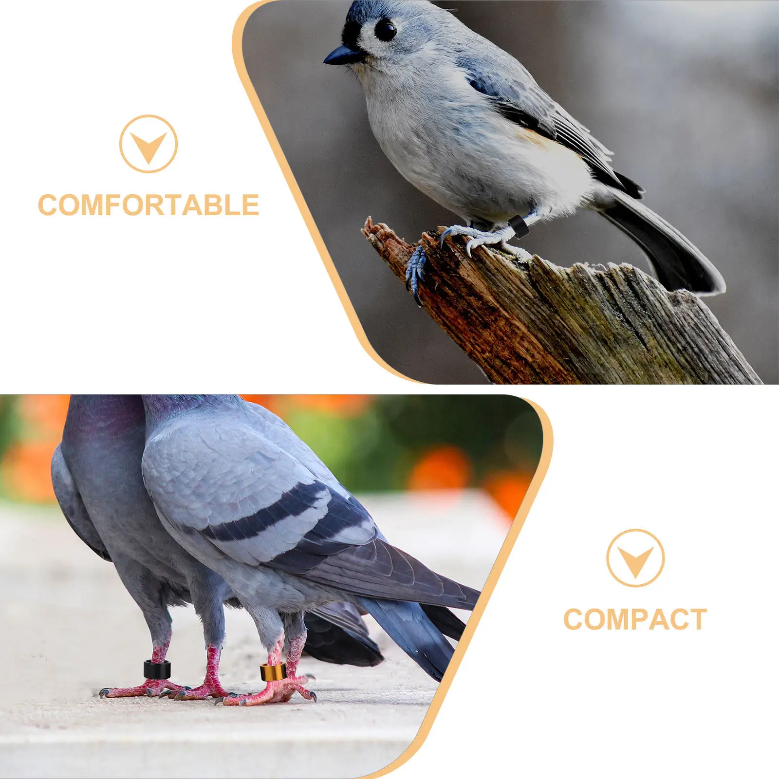 10Pcs Lightweight Aluminum Pigeon Identification Rings Color Coded for Easy Flock Management Racing Pigeon Accessories Small