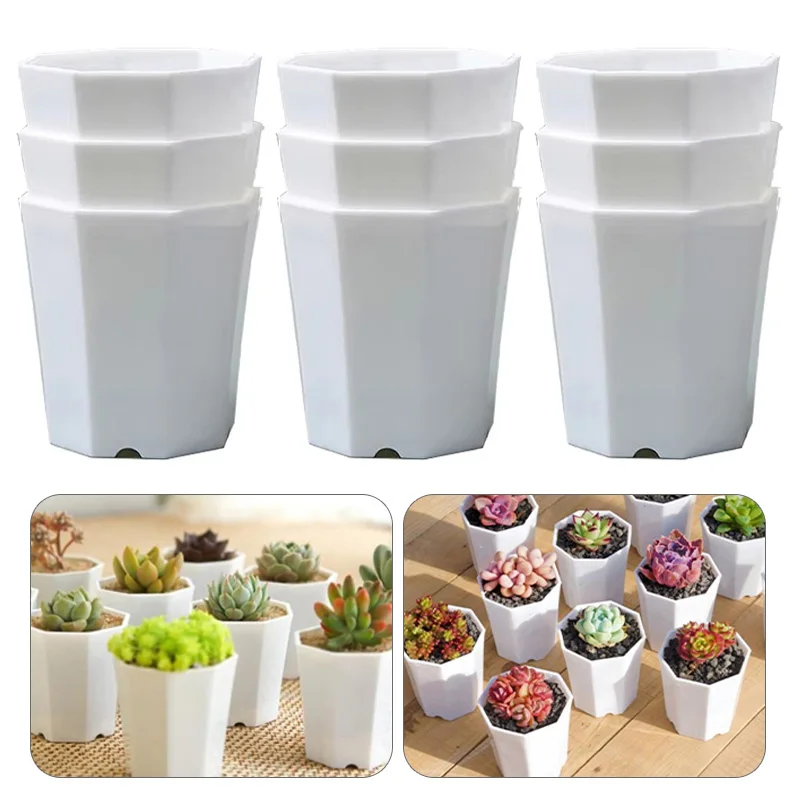 6~24pcs Mini Octagonal Flowerpot Plastic Solid Small Seedling Pot Breathable White Desktop Succulent Decoration Combination TMZ