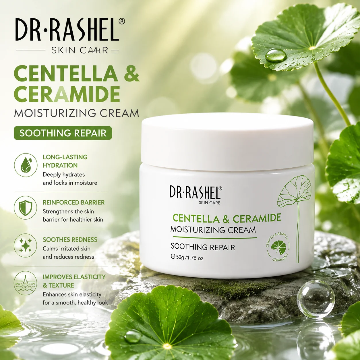 DR·Rashel Centella Ceramid Beruhigende, Barrierestärkende, Langzeit-Hydratisierende, Feuchtigkeitsspendende und Aufhellende Gesichtscreme – Detail 2