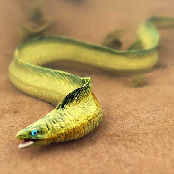 Simulation of children's marine life model eel eel eel model plastic hand-made benthic animal toys