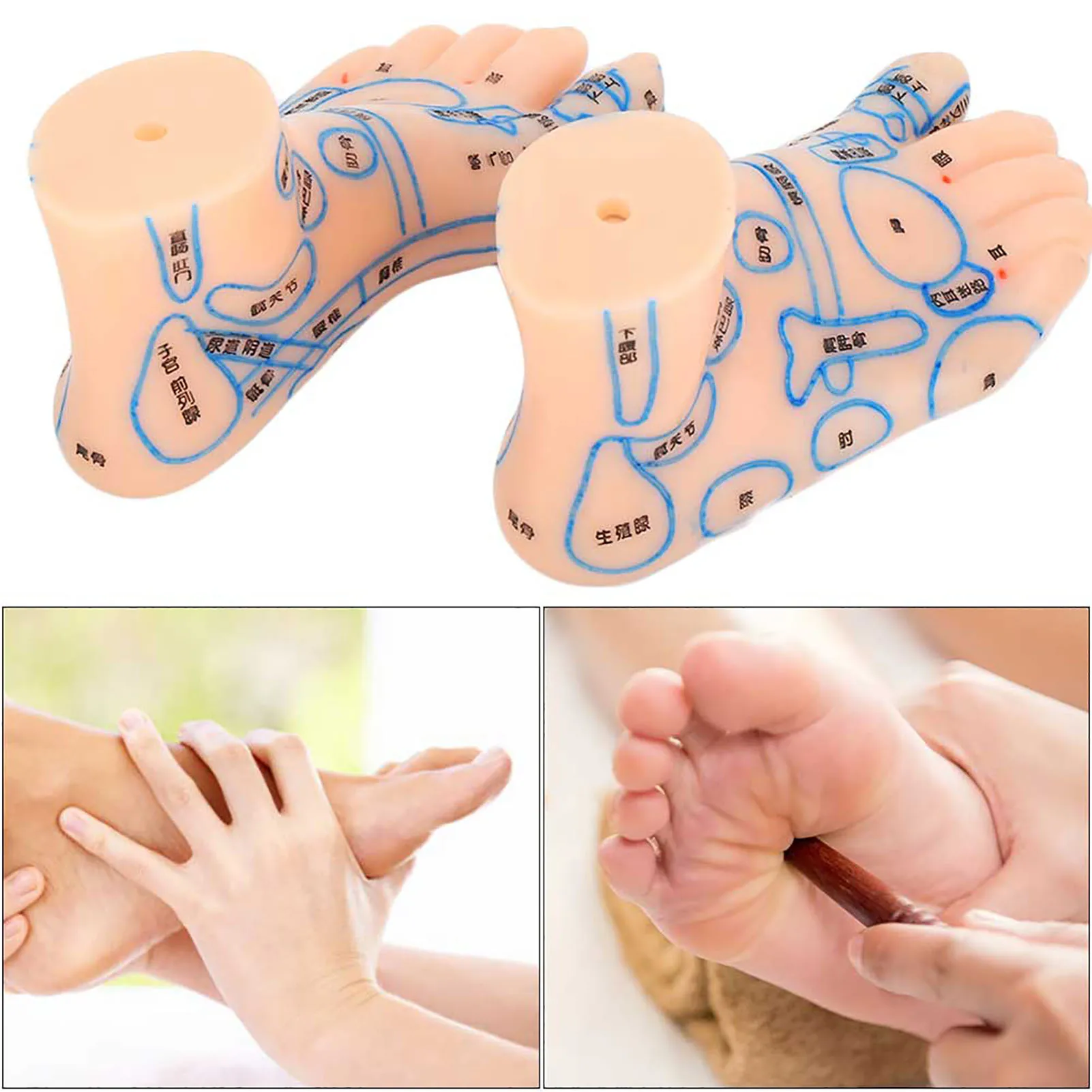 1 pair 15cm Foot reflex zone massage model not acupuncture model Chinese and English code TCM Feet Reflexology