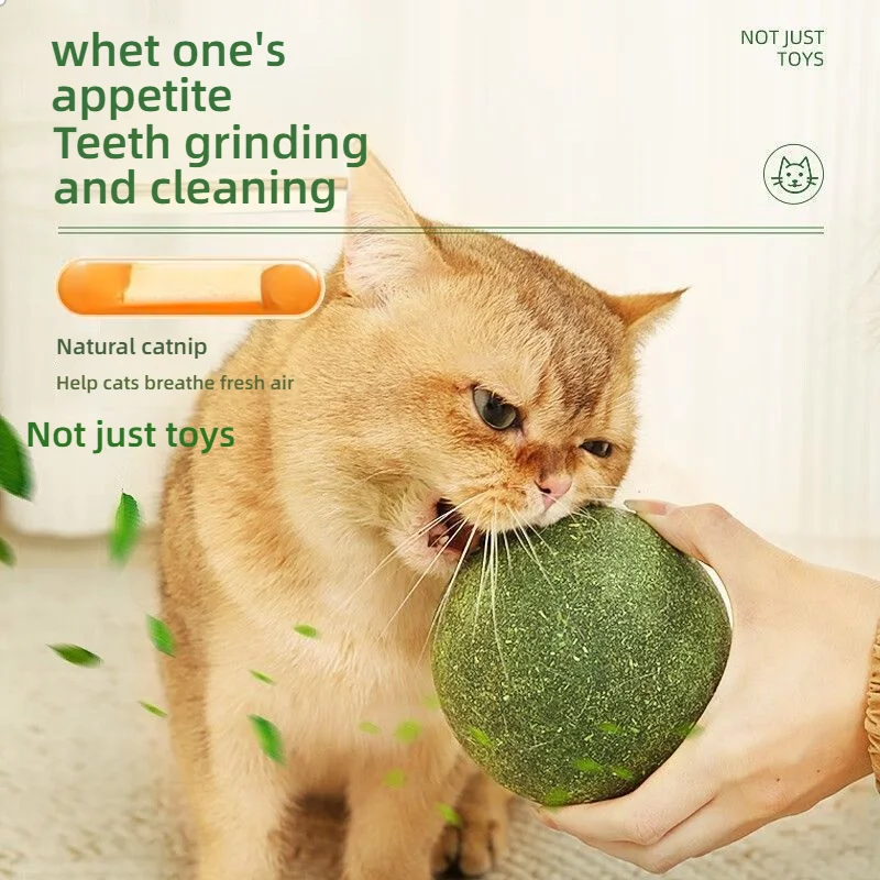 

Ball Lickable Natural Catnip Toys Self Relieving For Cat Kitten Indoor Outdoor Playing