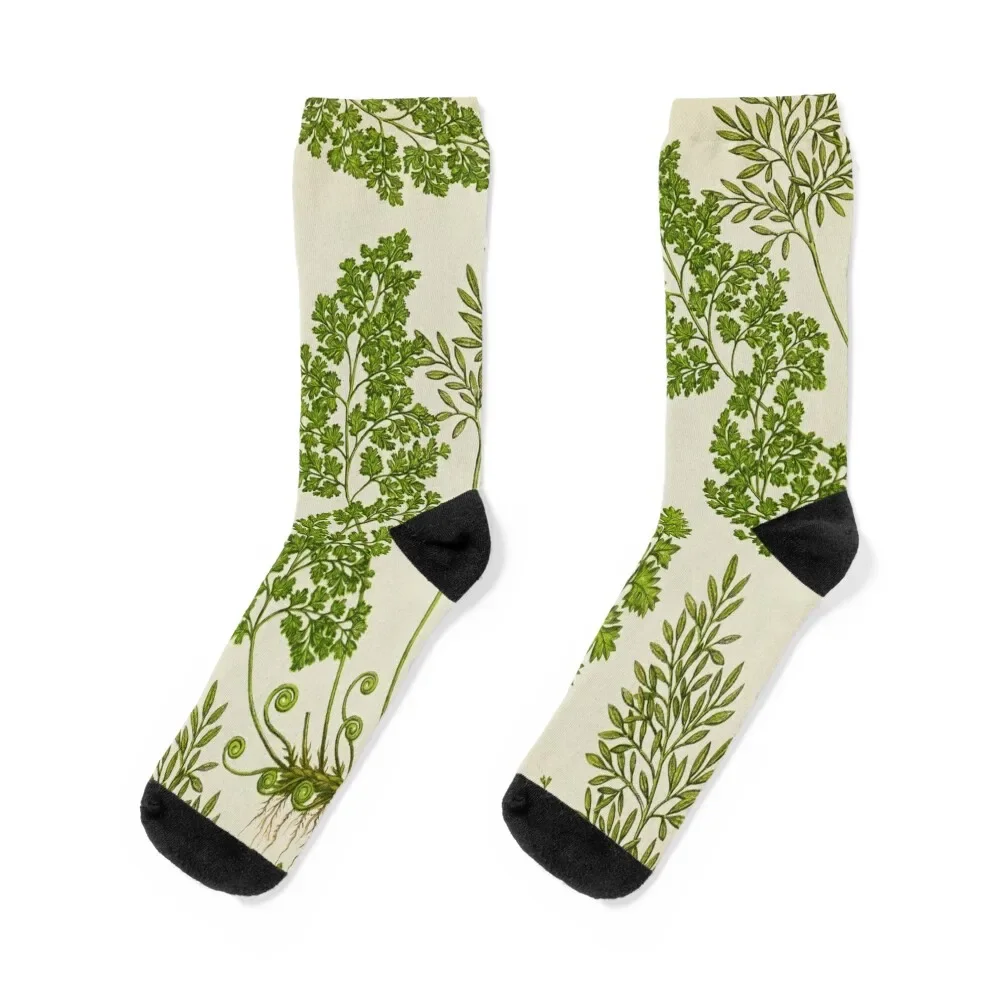 

Little ferns, botanical Socks christmas gifts hockey with print new year Luxury Woman Socks Men's