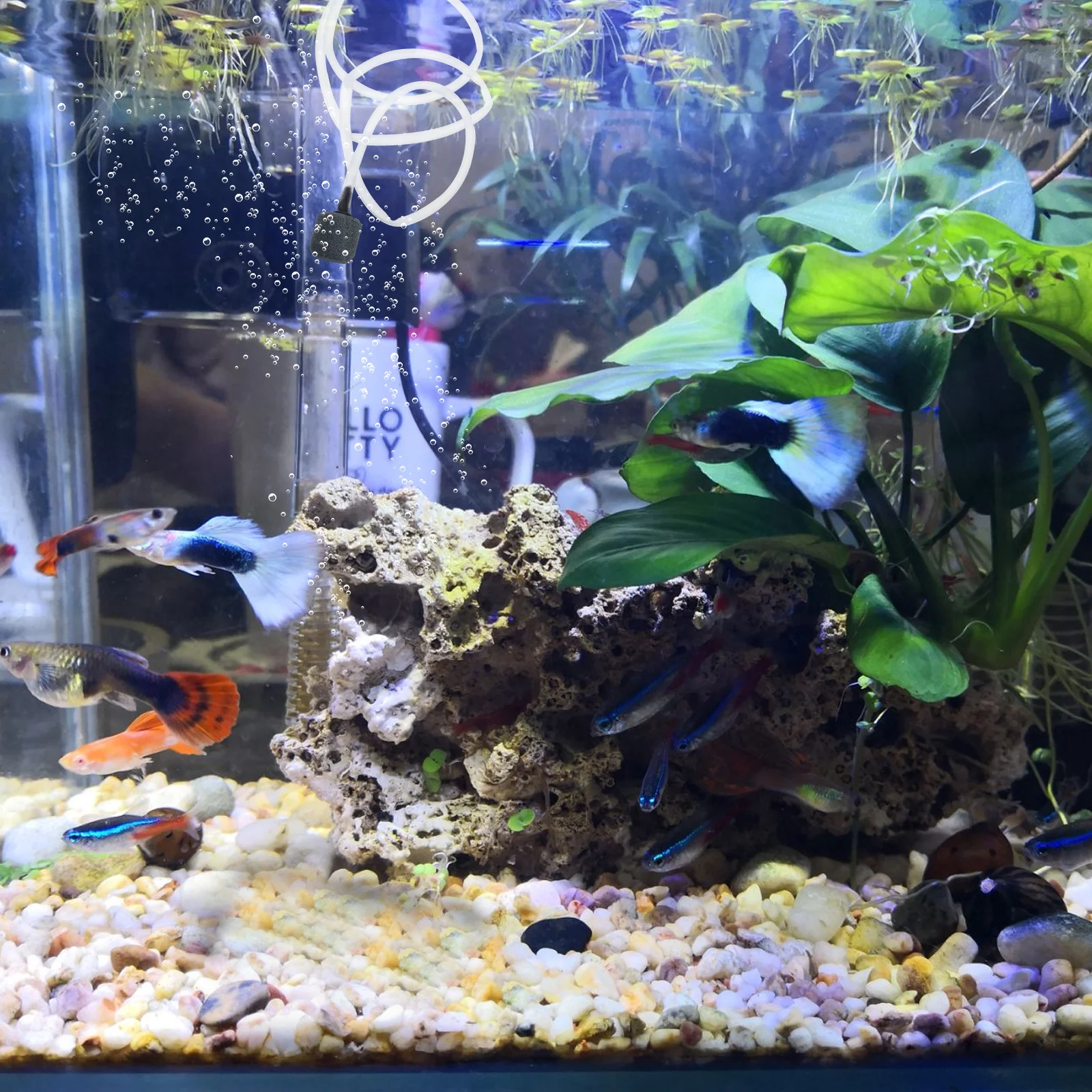 

Fish Tank Oxygen Pump Small Aquarium Water Accessories Portable Quiet