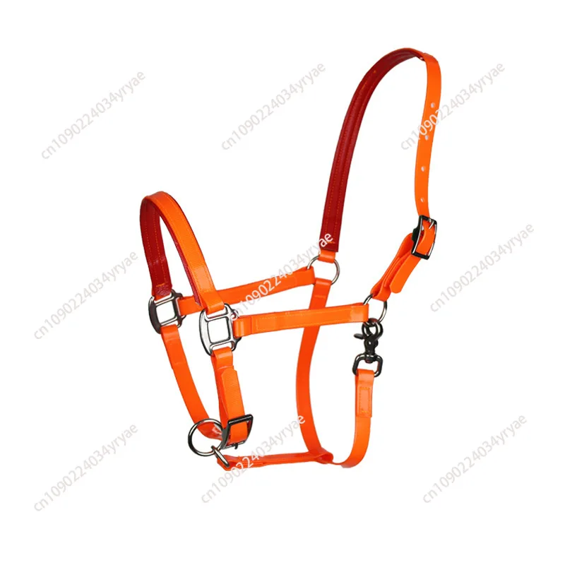 TPU Bridle Head Bridle Head Equipment Adjustable Durable Equestrian Supplies Riding Racing Accessories TPU Bridle