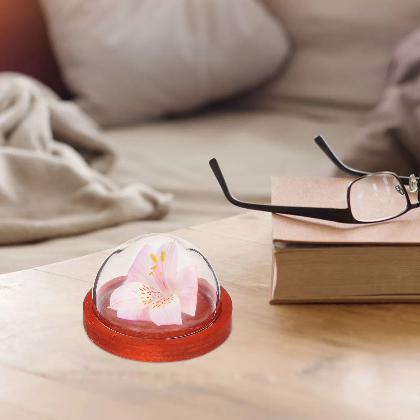 

3Pcs Mini Glass Dome Wood Base Flat Display Case for Eternal Flowers Home Desktop Decoration Glass Dome Rose Globe