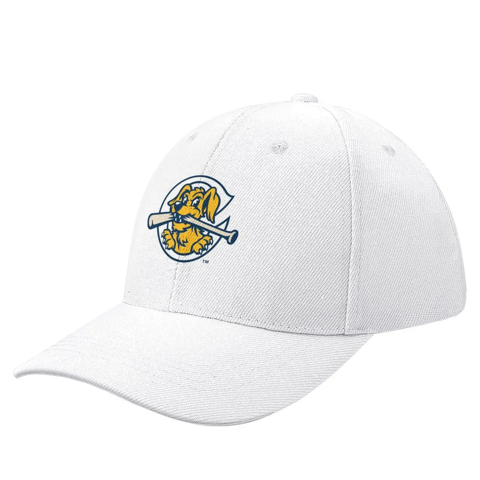 Charleston RiverDogs#0003#03 Baseball Cap Designer Hat Sun Hat For Children cute Big Size Hat Luxury Woman Men's