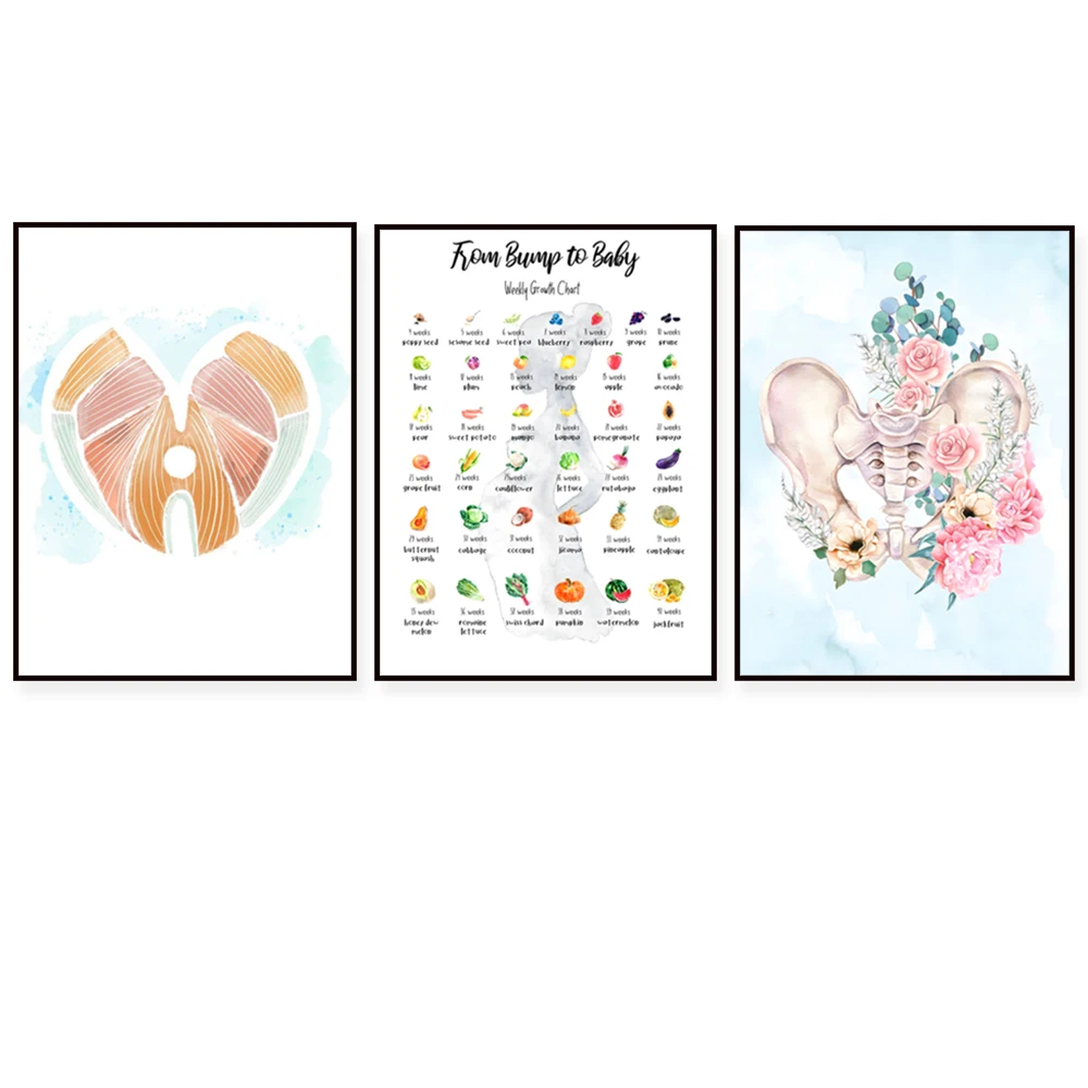 Pregnancy Art Medical Office Decor Cultural Diversity Pelvic Floor Baby Poster for Physical Therapist OBGYN RN Doula Midwife