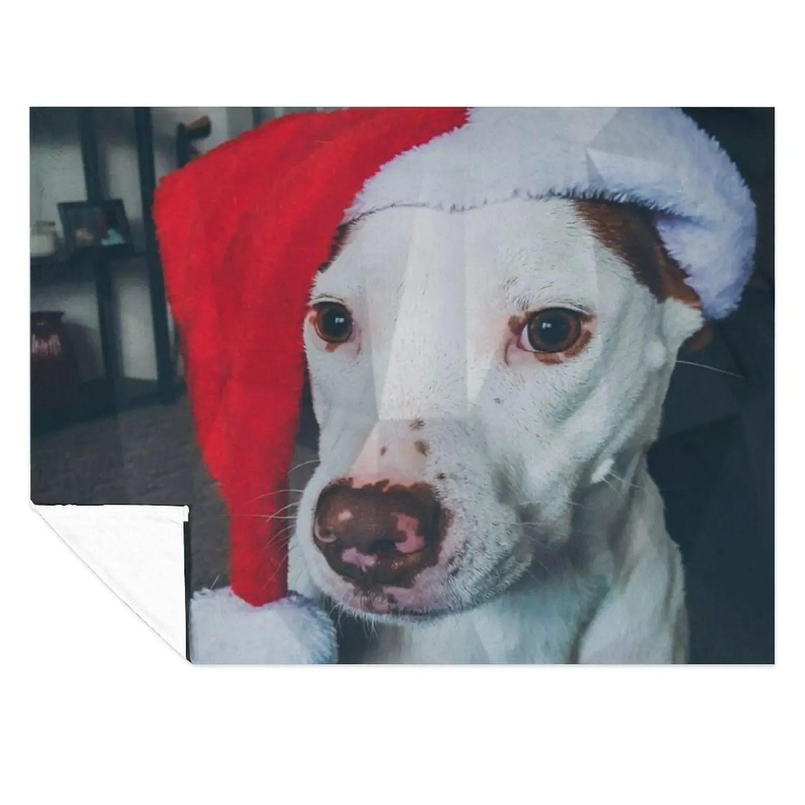 

Pitbull Santa Hat Throw Blanket For Sofa Thin Warm Plaid on the sofa cosplay anime Blankets