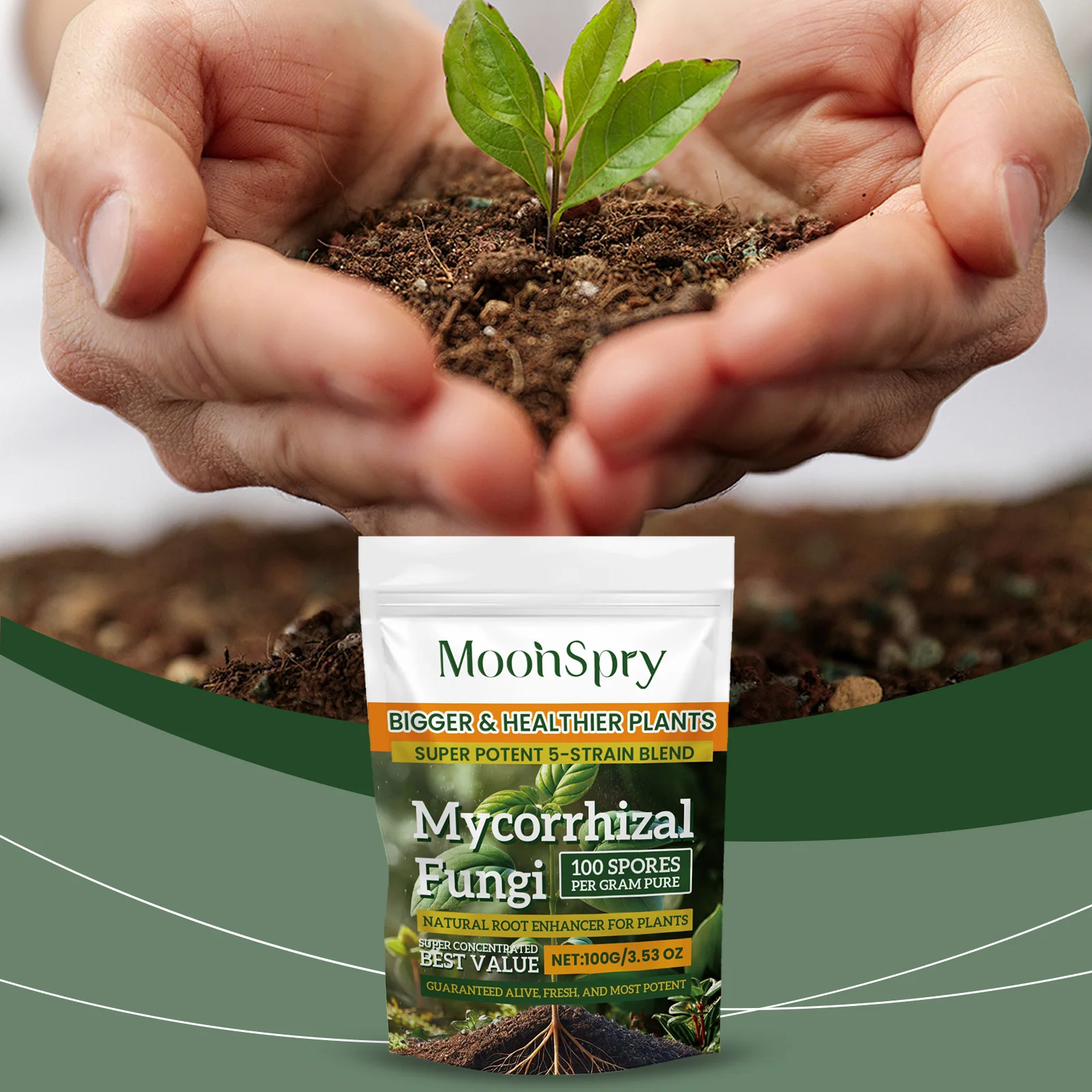 Natural Plants Root Enhancer Promote Root Development Enhance Absorption Capacity Improve Disease Resistance Plant Rooting Agent