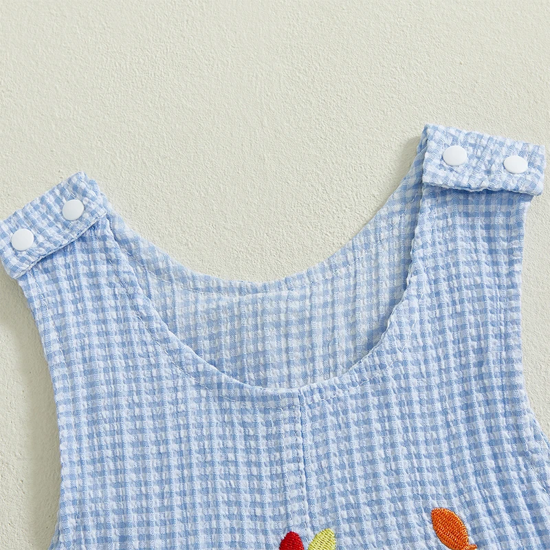 

Infant Birthday Romper Sleeveless Round Neck Balloon Truck Embroidery Jumpsuit Toddler Outfit Newborn Clothing Party Wear