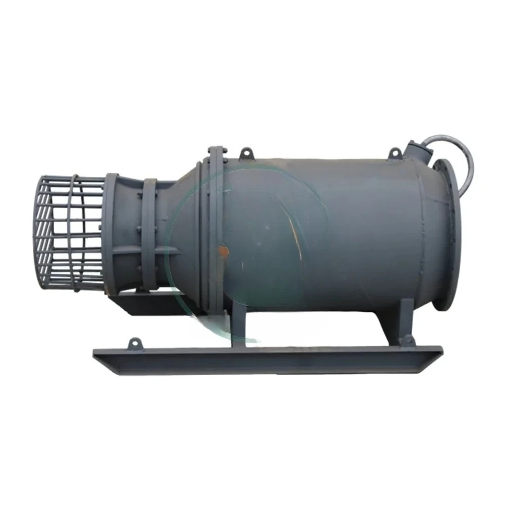 Axial Flow Water Pu…