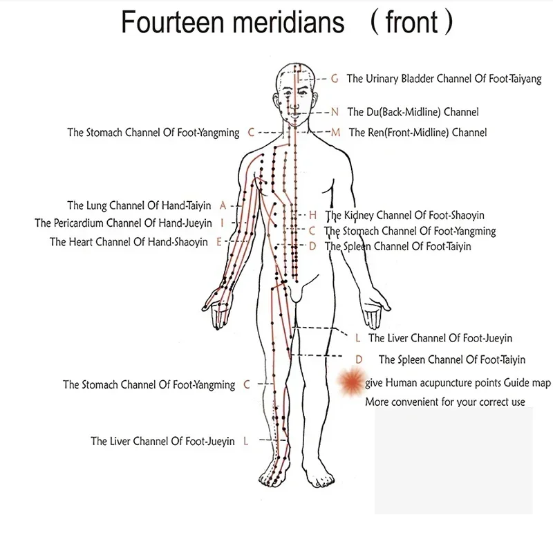 新入荷 アップグレード鍼灸筋刺激装置 経穴電子鍼灸師 6出力指圧リラックス装置