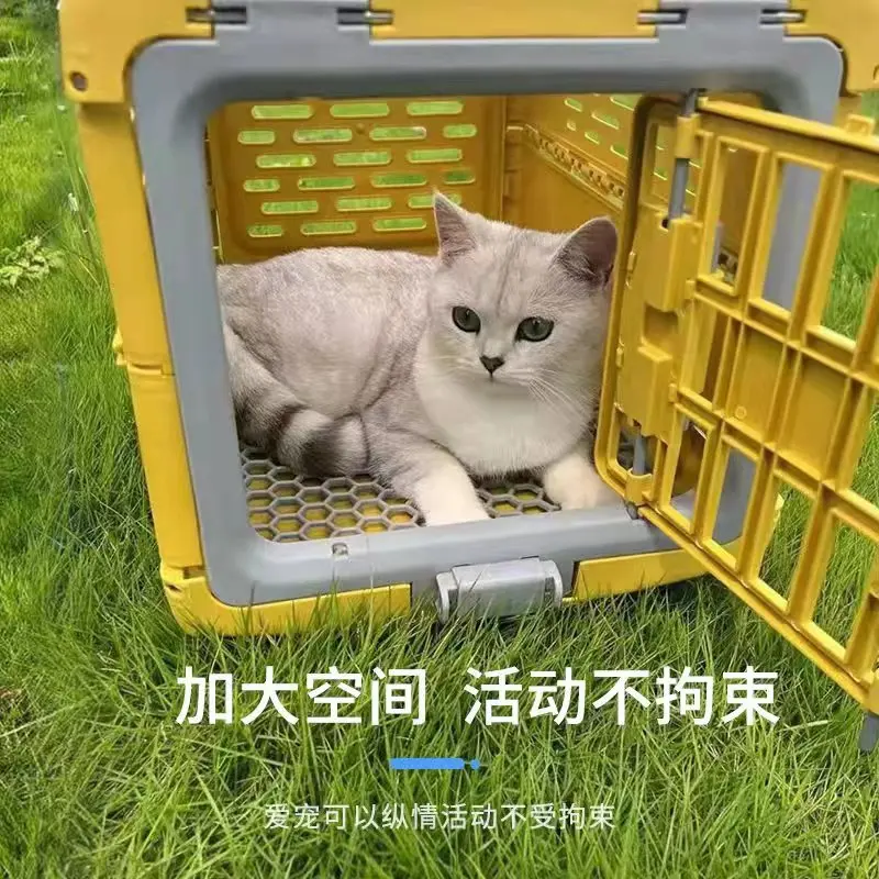 Boîte d'enregistrement portable pour animaux de compagnie, étui de vol pliable, chenil respirant, fournitures pour animaux de compagnie, voiture, chats, sortie