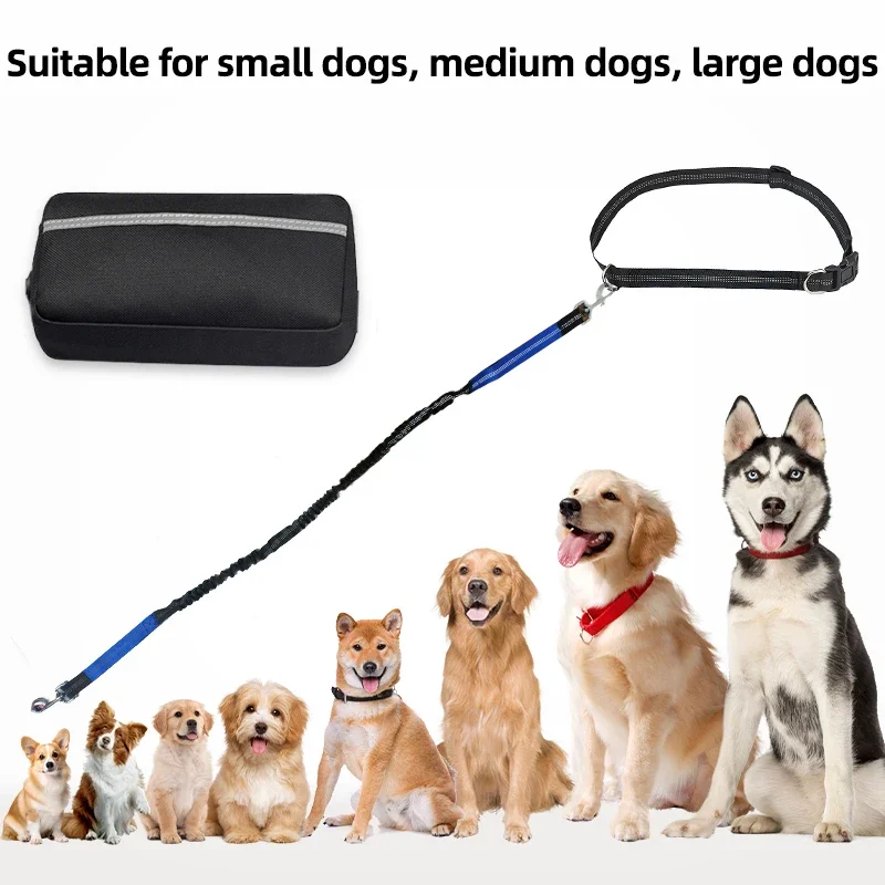 Running Waist Bag And Pet Leash Set, Real Nylon With Reflective Strips Dog Outdoor Training Leash Set