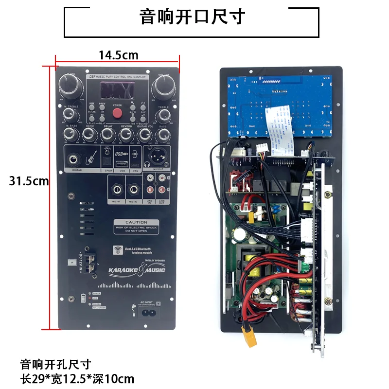 DSP High Power Square Dance Audio Outdoor Bluetooth Amplifier Board Mono Speaker Modified Main Board with OTG for Karaoke view 3