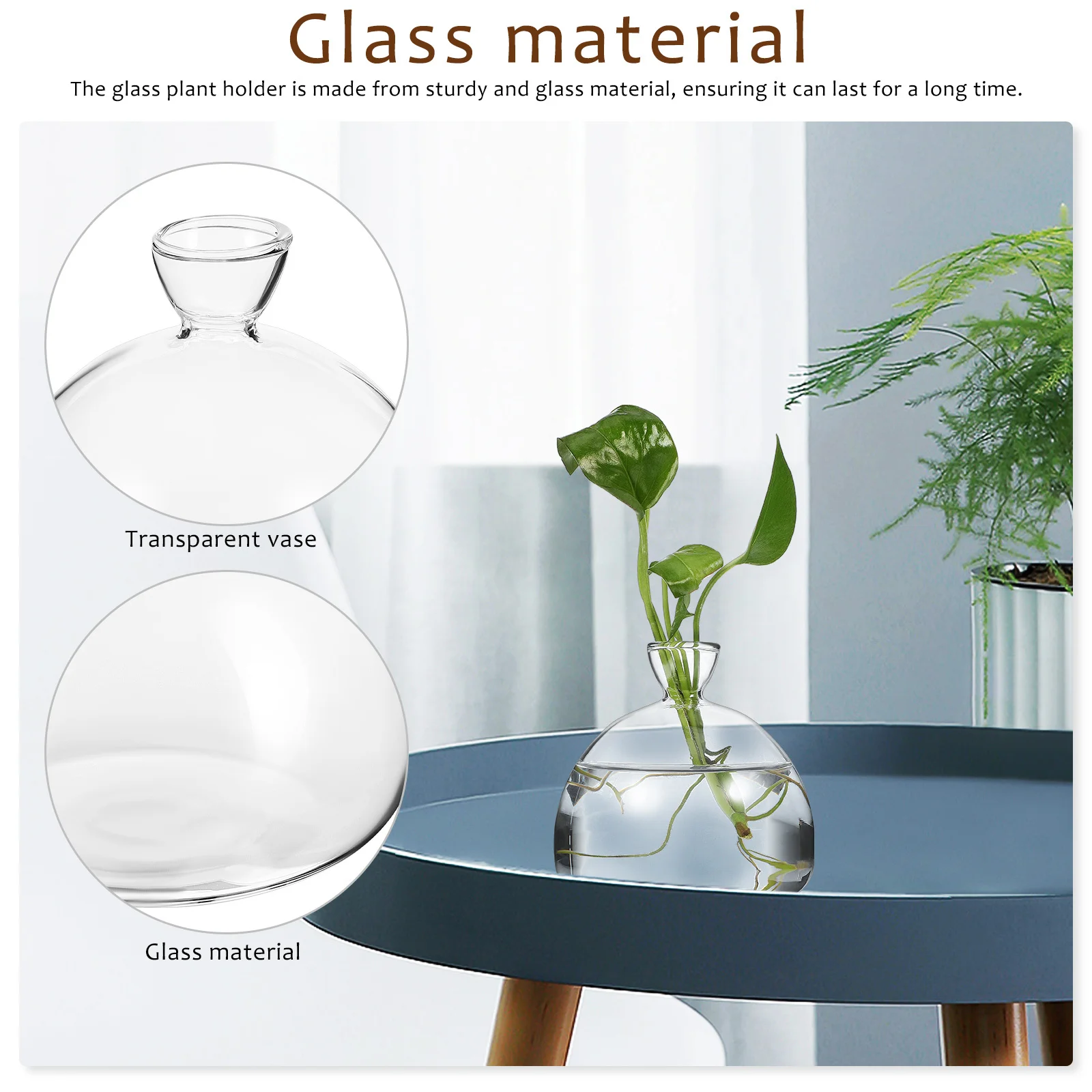 

Glass Plant Holder Clear Glass Vase Transparent Flower Pot Hydroponic Planter Plant Growth Observation Vase Plants Terrarium