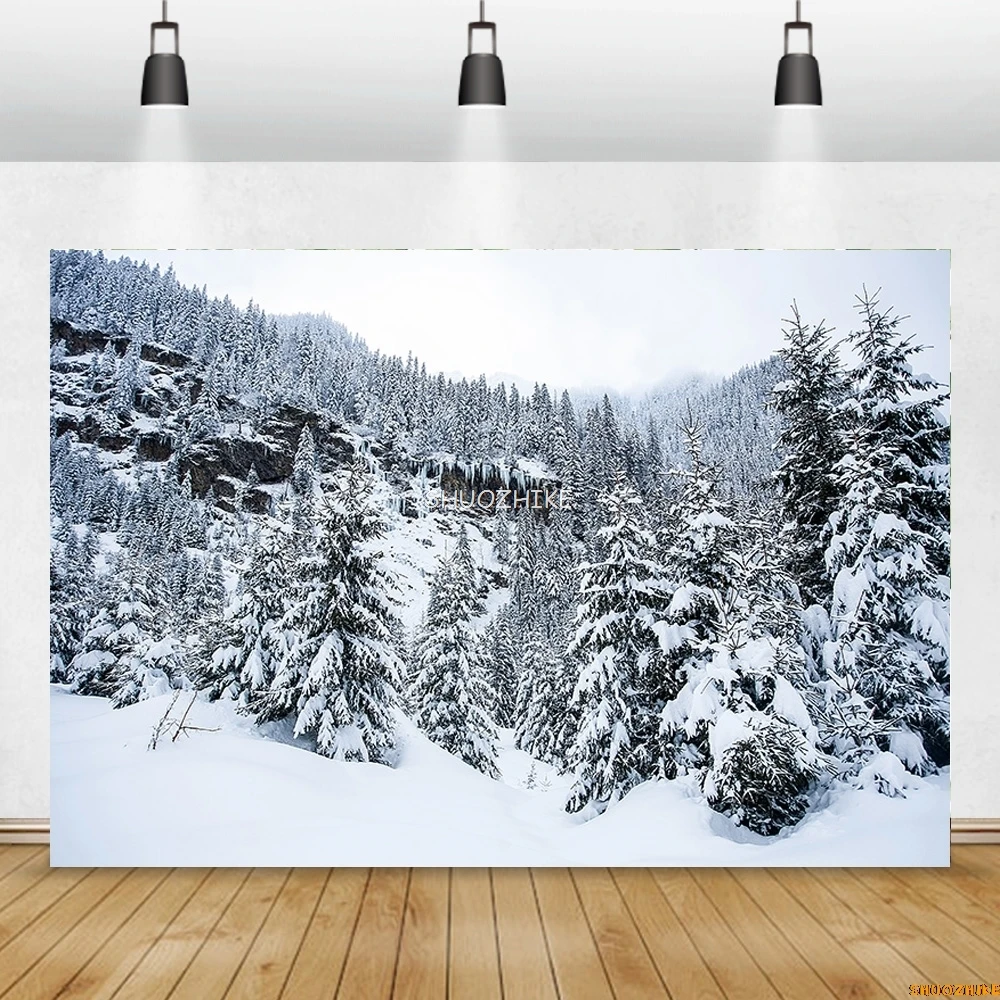 قطرات خلفية للتصوير الفوتوغرافي للغابات الشتوية ، طريق مغطى بالثلوج ، ندف الثلج ، أشجار التنوب ، خلفية الصورة ،