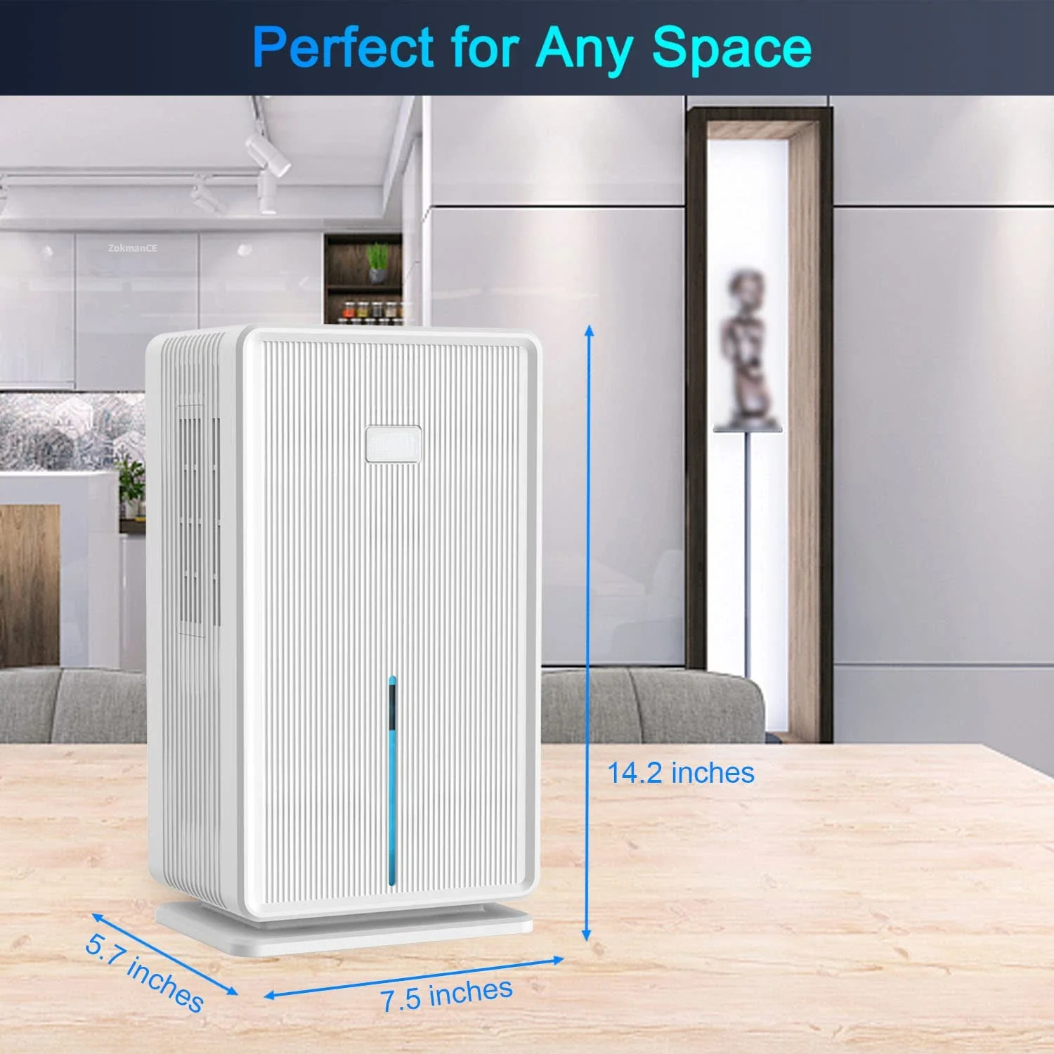 3000ML Large Capacity Dehumidifier with Defrost 2In1 Air Purifier Professional Moisture Absorbers Air Dryer for Home Office Room