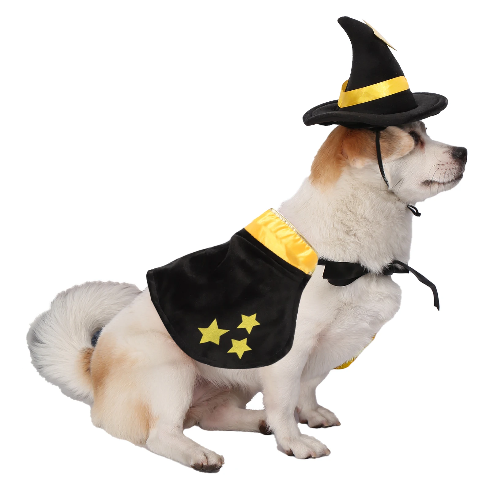

Halloween Cute Dog Cat Doctor Costume Pet Clothes Halloween Witch Cosplay Hat Wizard Cape Pet Party Performance Birthdays Decors