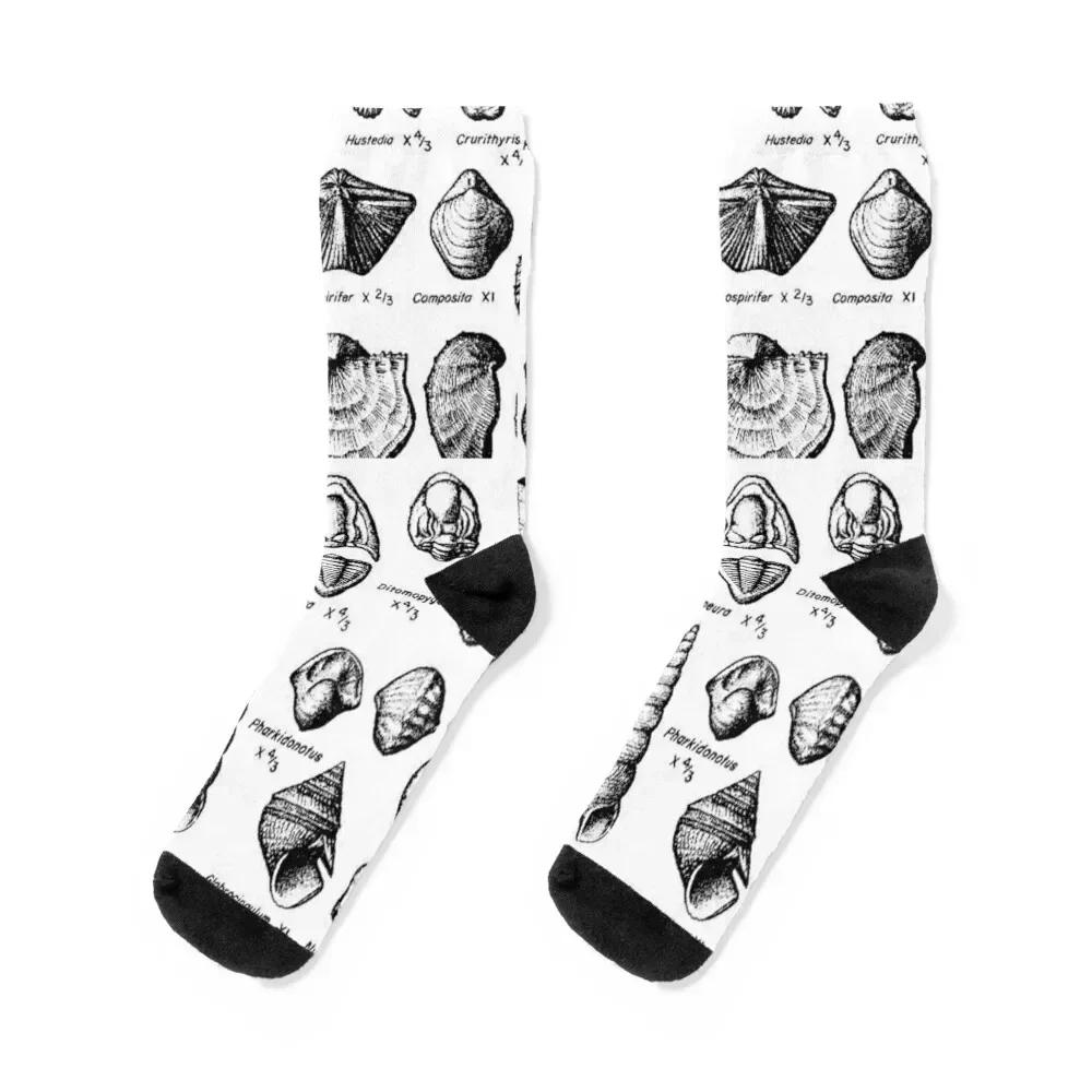 

Paleontologist , i love paleontology Socks Stockings funny gift fashionable professional running Socks Women's Men's