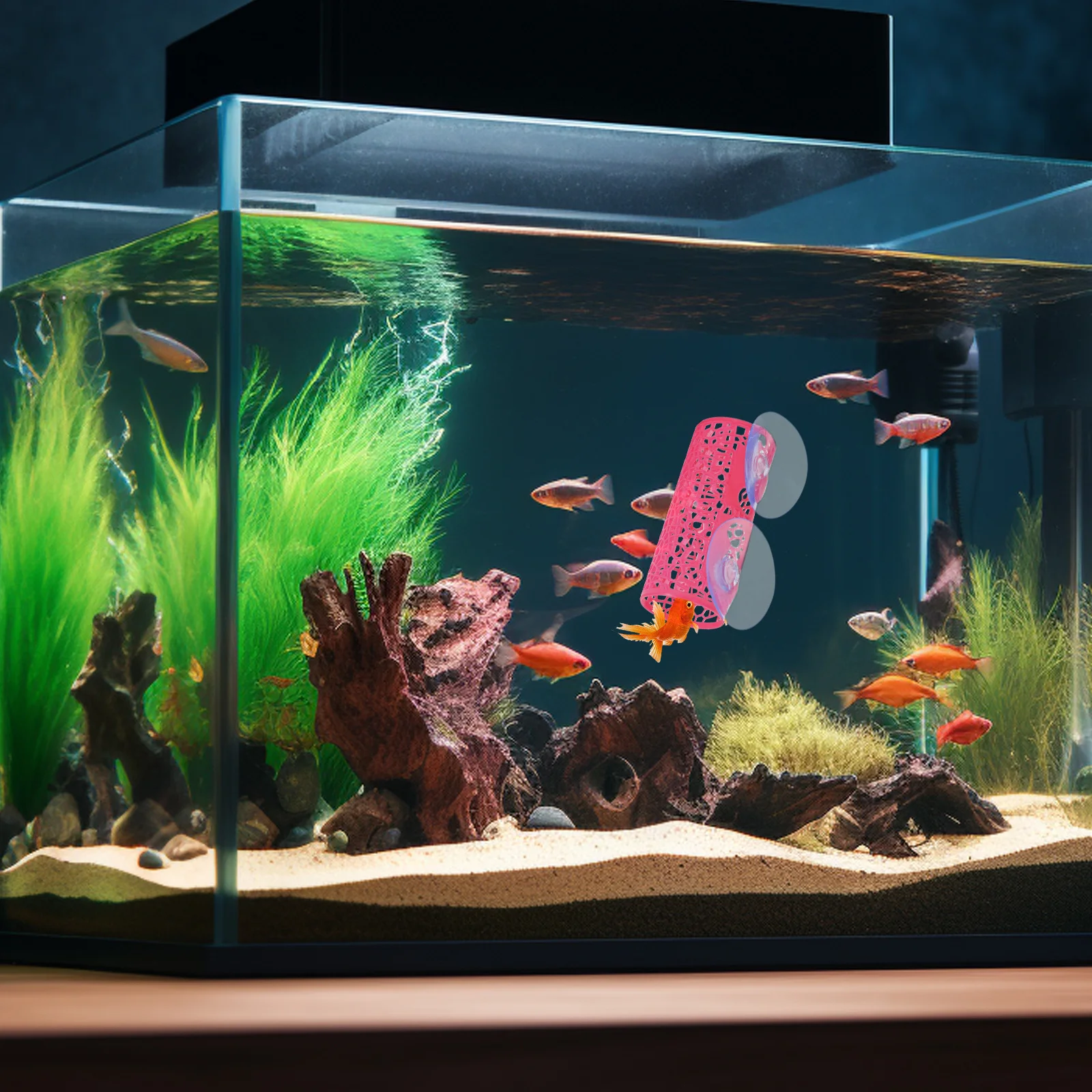 

Small Hollow Tunnel Aquarium Cave Betta Fish Tank Hideout Fish Bed Tunnel Reusable Plastic Aquarium Decor Betta Accessory