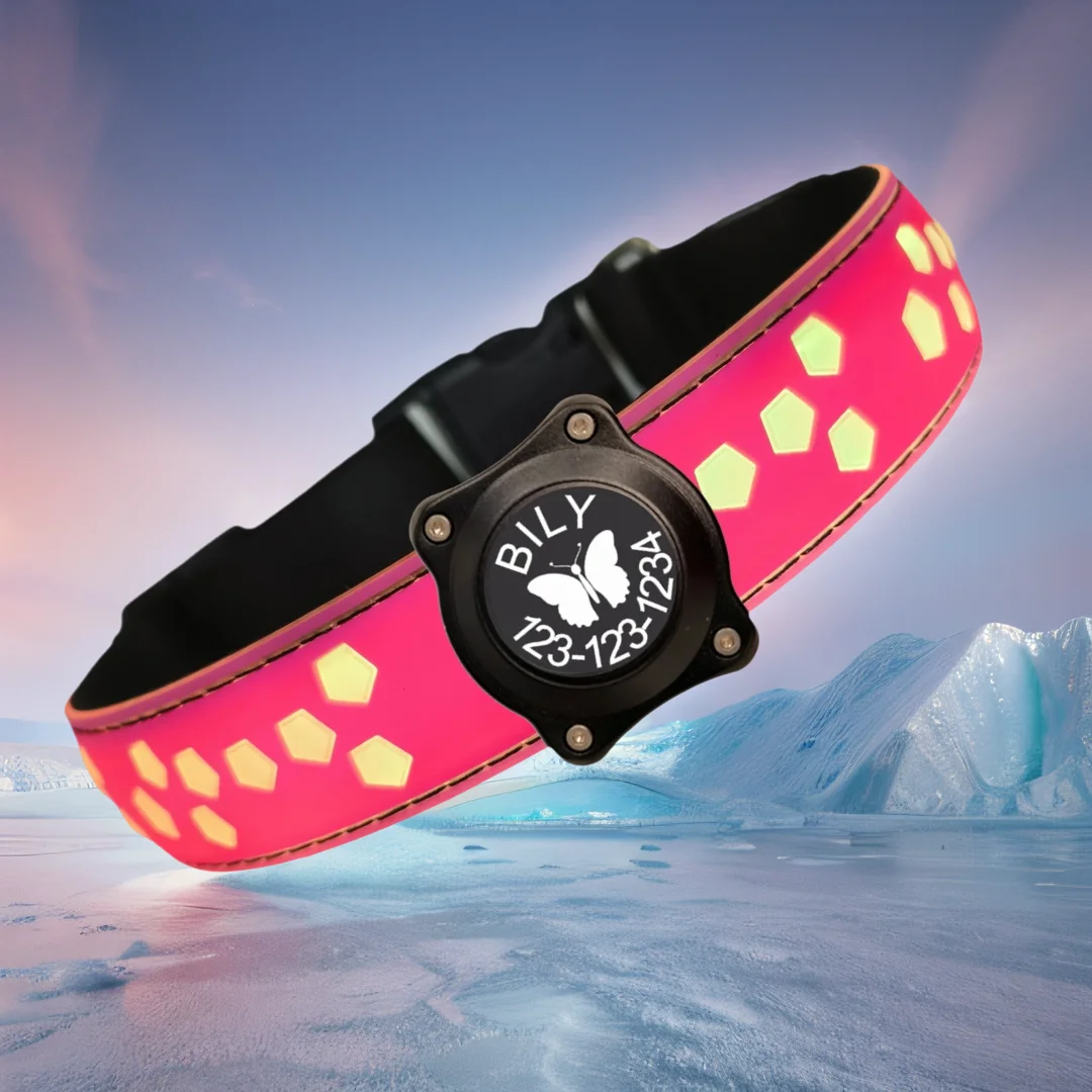 Personalized USB-C LED Light up Dog Collar, Airtag Holder, IP68 Waterproof, 15 Modes Changing Modes, Multicolor Lighting