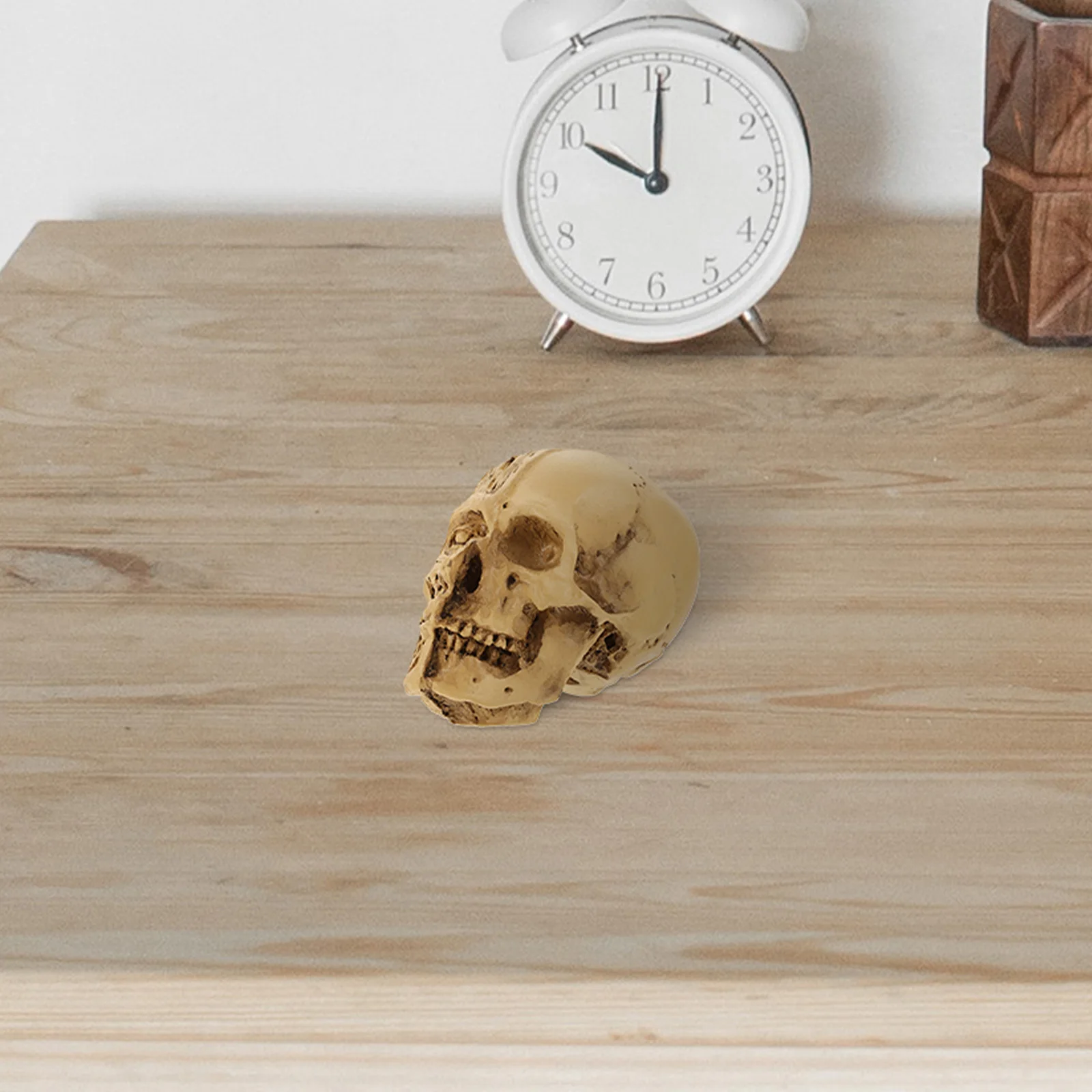 

1Pcs Realistic Skull Decor Muscle Halloween Prop Festival Scene Ornament Party Decoration Halloween Decor