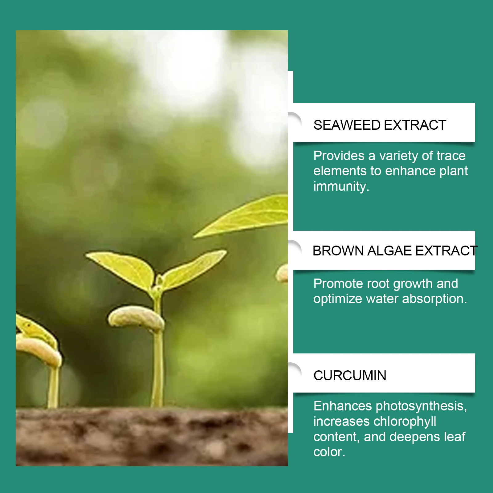 Plant Nutrition Bars Universal Home Garden Potted Plants Rooting Growth Enhancer Slow Release Seaweed Compound Fertilizer Stick