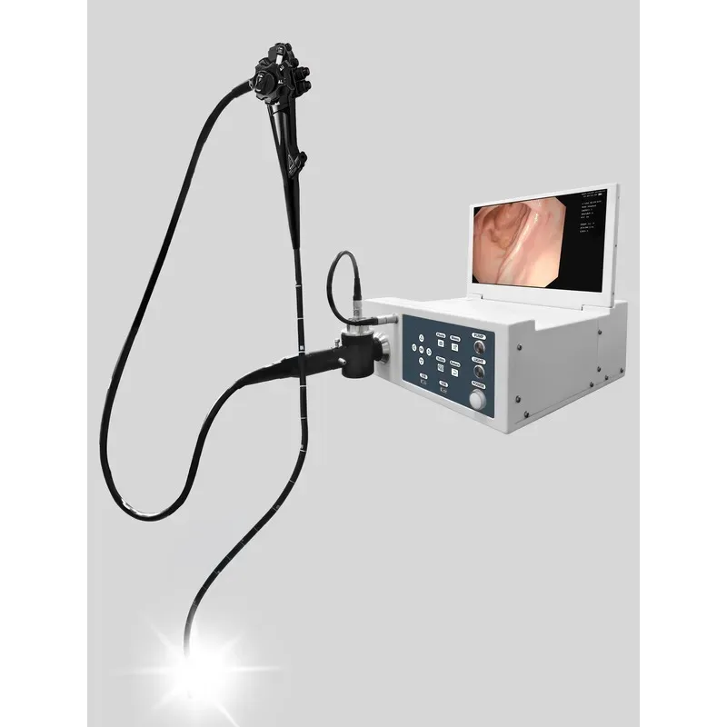 Portable 3 in 1 endoscopy system for flexible endoscope and rigid endoscope