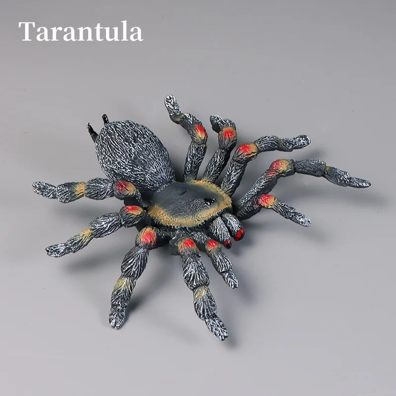 ชุดของเล่นแมงมุมสัตว์ประดิษฐ์เพื่อการศึกษา ชุดฟิกเกอร์สัตว์โลก ของเล่นเสริมสร้างความรู้ด้านวิทยาศาสตร์และการเรียนรู้ สำหรับเด็ก