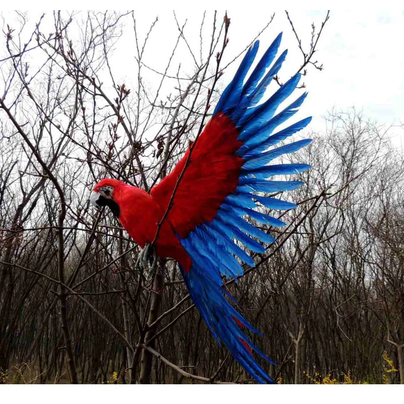 real life wings parrot model foam&feather red&blue parrot gift about 45x60cm d0181