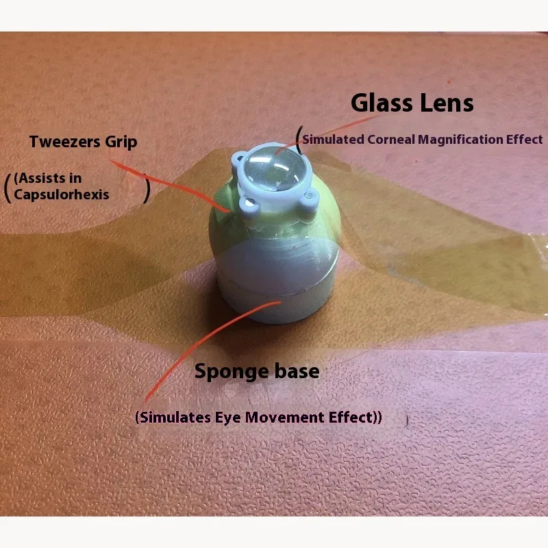 

3.0 Капсула для офтальмологического катаракта, факоэмульсификация, модель хирургической практики, офтальмологическая круглая крышка, различные инструменты для упражнений