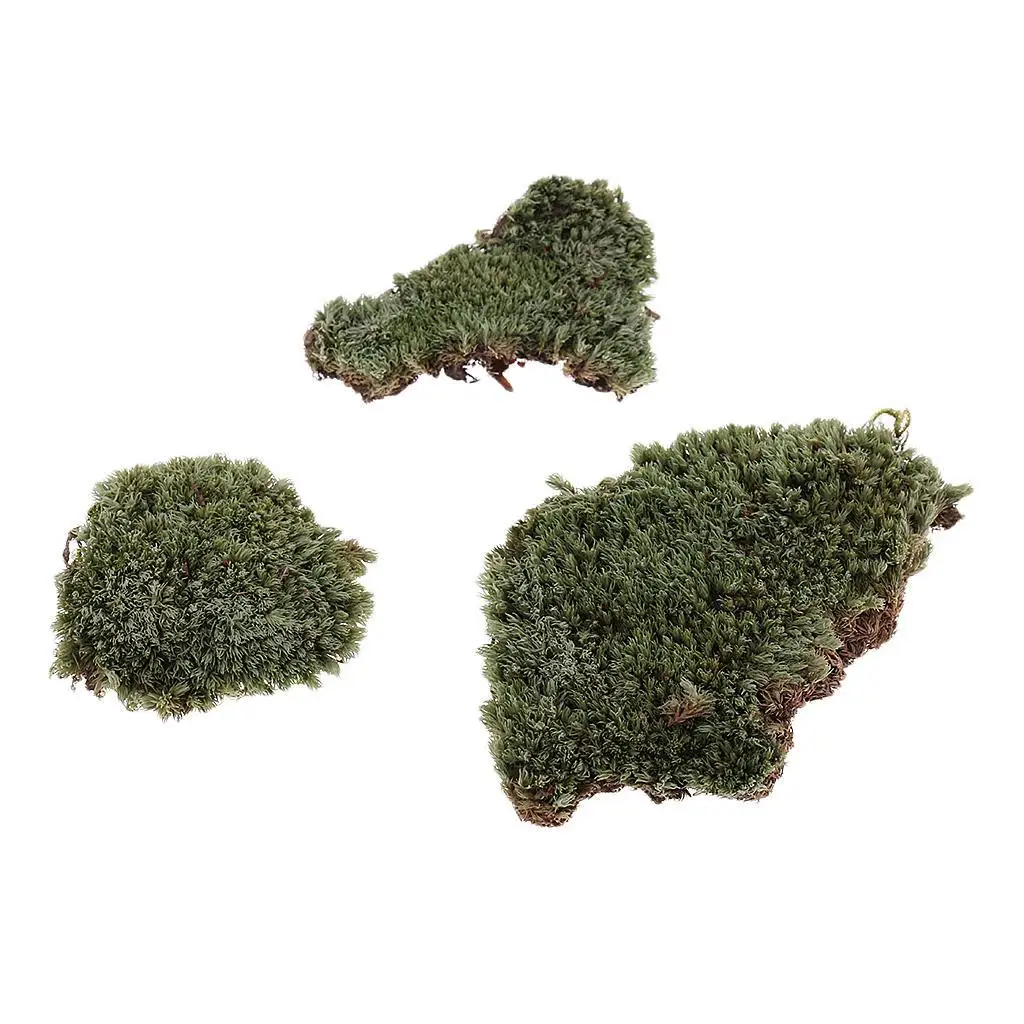 1:35 Scale Green Lichen Moss Ground Grass Lawn Model DIY for Armour