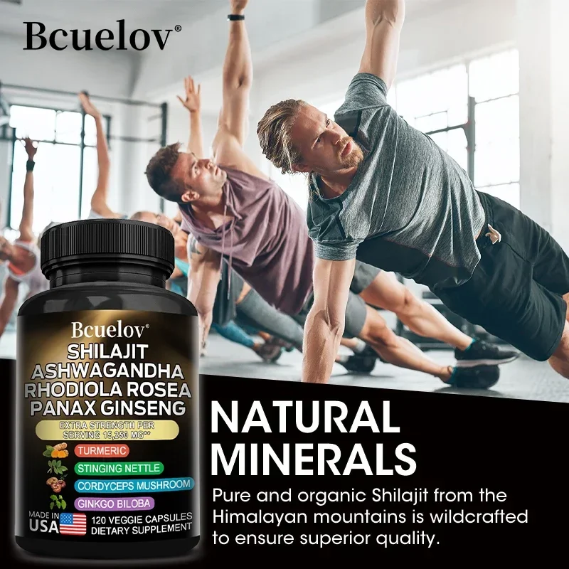 Shilajit Pure Himalaya, Energy Booster, Rhodiola, Ginseng, Turmeric, Ginkgo Biloba, Cordyceps Mushroom, Joint, Brain Support