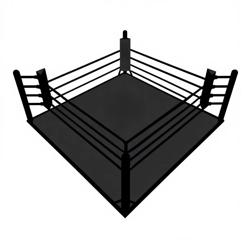 

Tailored Professional Boxing Ring Black Color Ideal For Gym Training And Sports Practice