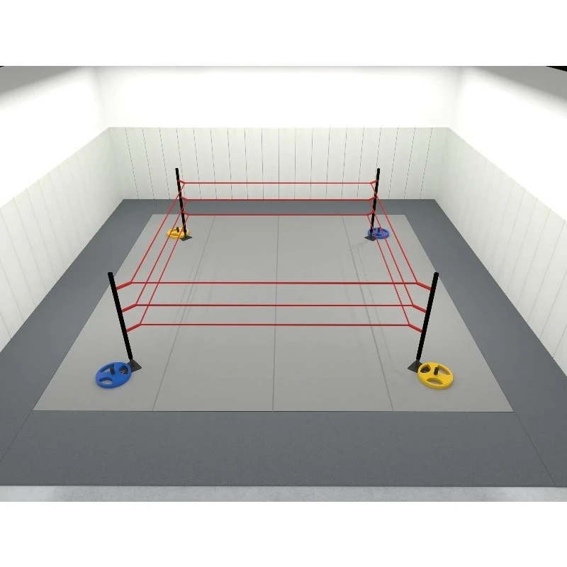 FPR Mini Boxing Ring at 3 X 3 m Portable Ring Designed for Homes or Light Training