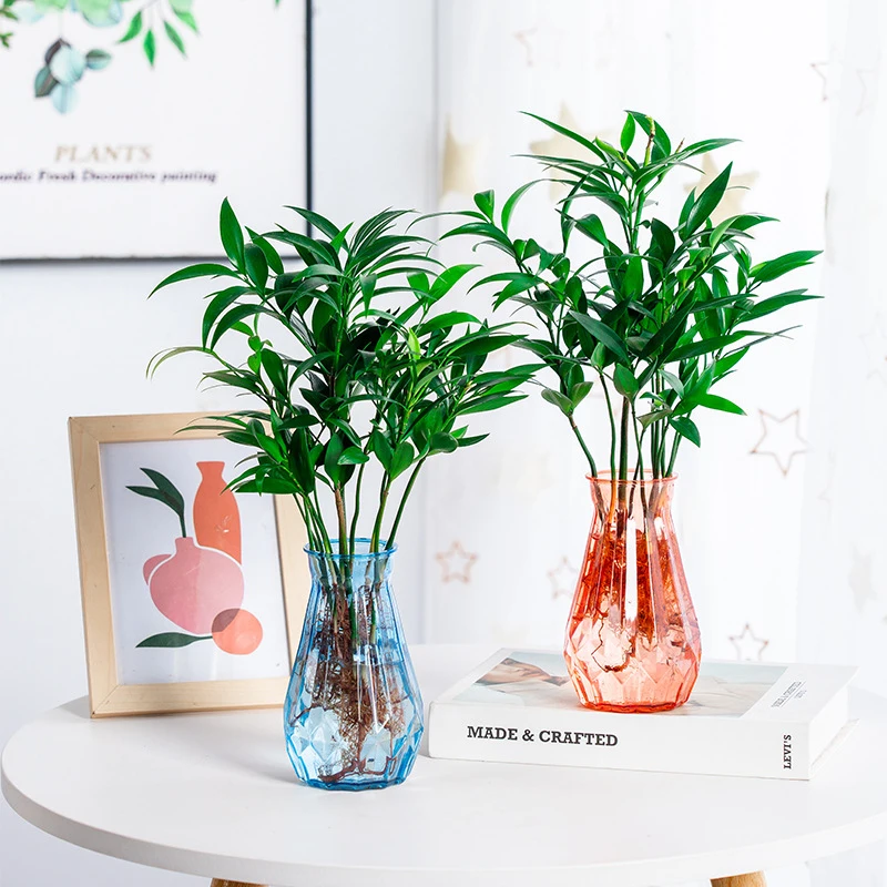 Transparent Plastic Hydroponic Vase for Green Plants and Money Plant, Creative Home Decoration Water Culture Flower Pot Ornament