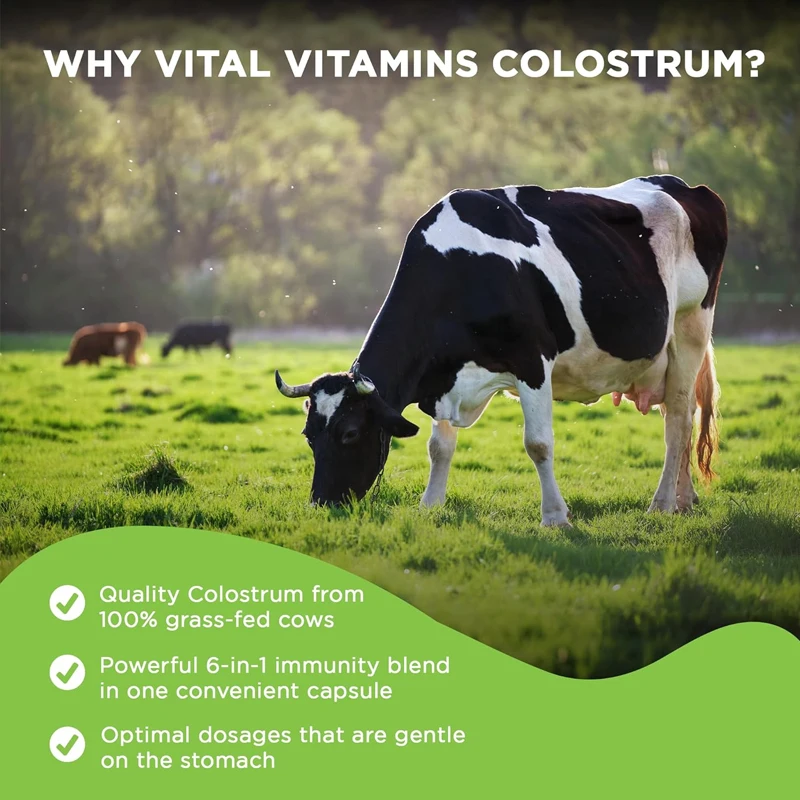 Colostrum supplement grass fed bovine colostrum - standardized containing 30% immune health, intestinal health -60 capsules