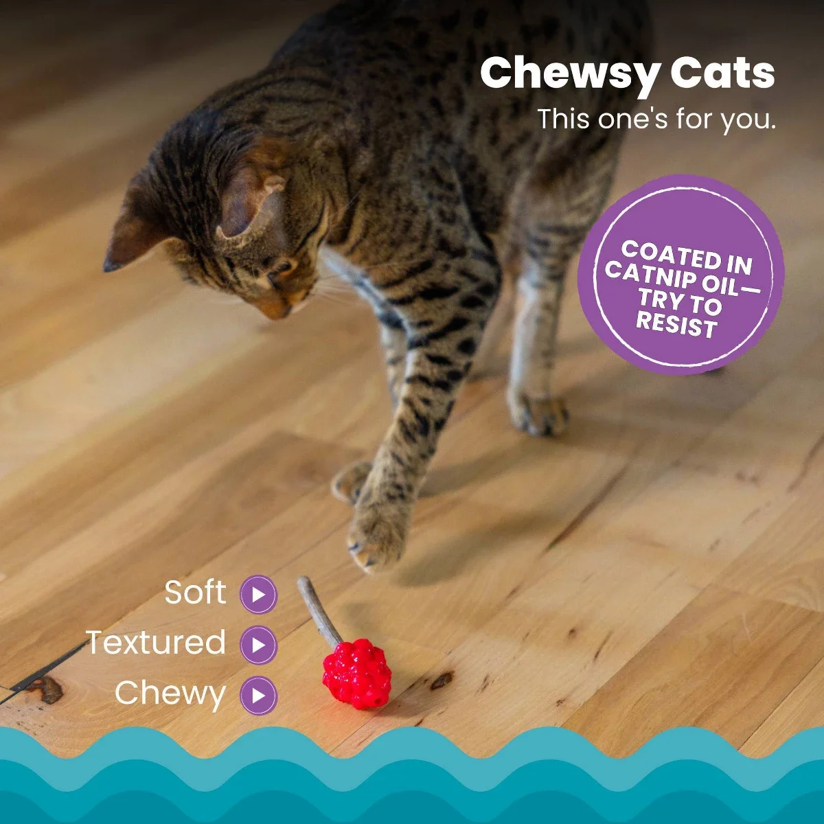 

Catstages 1.18" Raspberry Silvervine Teether Cat Stick Toy